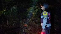 Mobil Masuk Jurang di Jalur TNBTS Merupakan Rombongan Pengantar Manten Asal Gondanglegi