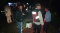 TKP kecelakaan di kawasan TNBTS. (ist) - Mobil Wisatawan Masuk Jurang di Kawasan TNBTS, Empat Orang Meninggal