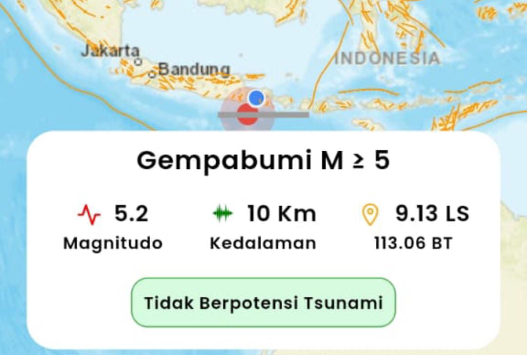 Gempa Lumajang M 5,2 Dirasakan Cukup Kencang di Pesisir Jember