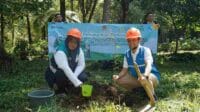 Rayakan Hari Lingkungan Hidup, Kolaborasi PJT I dan PT PLN NP Tanam 10 Ribu Bibit di Arboretum Sumber Brantas