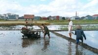 Babinsa Koramil Lowokwaru bantu petani bajak sawah Jatimulyo. (ist) - Babinsa Koramil Lowokwaru Bantu Petani Bajak Sawah Jatimulyo