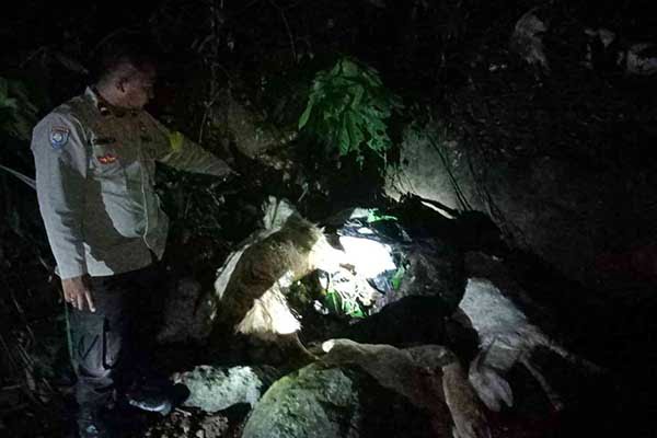 Bangkai kambing yang ditemukan mati di sungai Gumitir. (ist) - Puluhan Bangkai Kambing Dibuang Sopir Truk ke Sungai Gumitir Jember