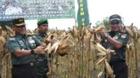 Danpusterad didampingi Danrem 083/Bdj mengunjungi panen raya jagung di wilayah Kodim 0818. (penrem083) - Danpusterad Sosialisasi Pembinaan Perlawanan Wilayah dan Cek Ketahanan Pangan di Wilayah Kodim 0818
