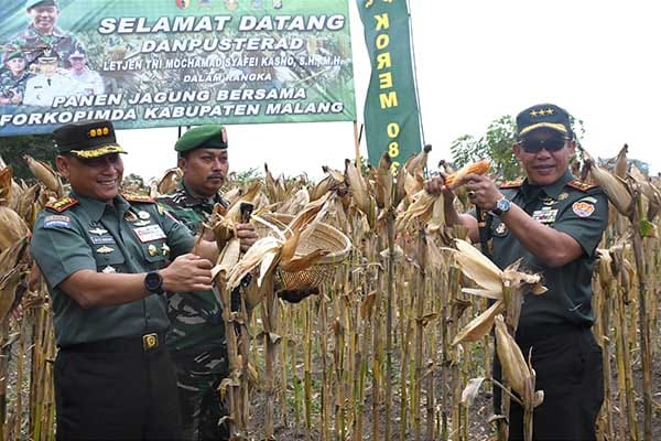 Danpusterad didampingi Danrem 083/Bdj mengunjungi panen raya jagung di wilayah Kodim 0818. (penrem083) - Danpusterad Sosialisasi Pembinaan Perlawanan Wilayah dan Cek Ketahanan Pangan di Wilayah Kodim 0818