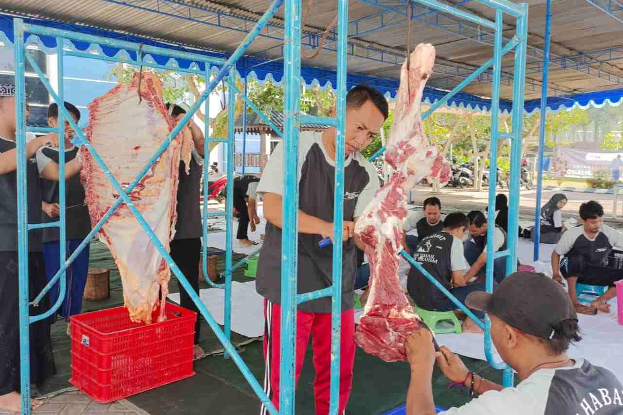 Upaya Polinema Menebar Manfaat, Sembelih Sembilan Hewan Kurban pada Iduladha 1445 H