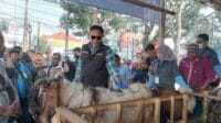 Jelang Iduladha 2024, Pj Wali Kota Malang Pastikan Hewan Kurban Tersedia dan Sehat