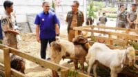 Pemerintah Kota Batu Pastikan Hewan Kurban Sehat dan Aman untuk Dikonsumsi