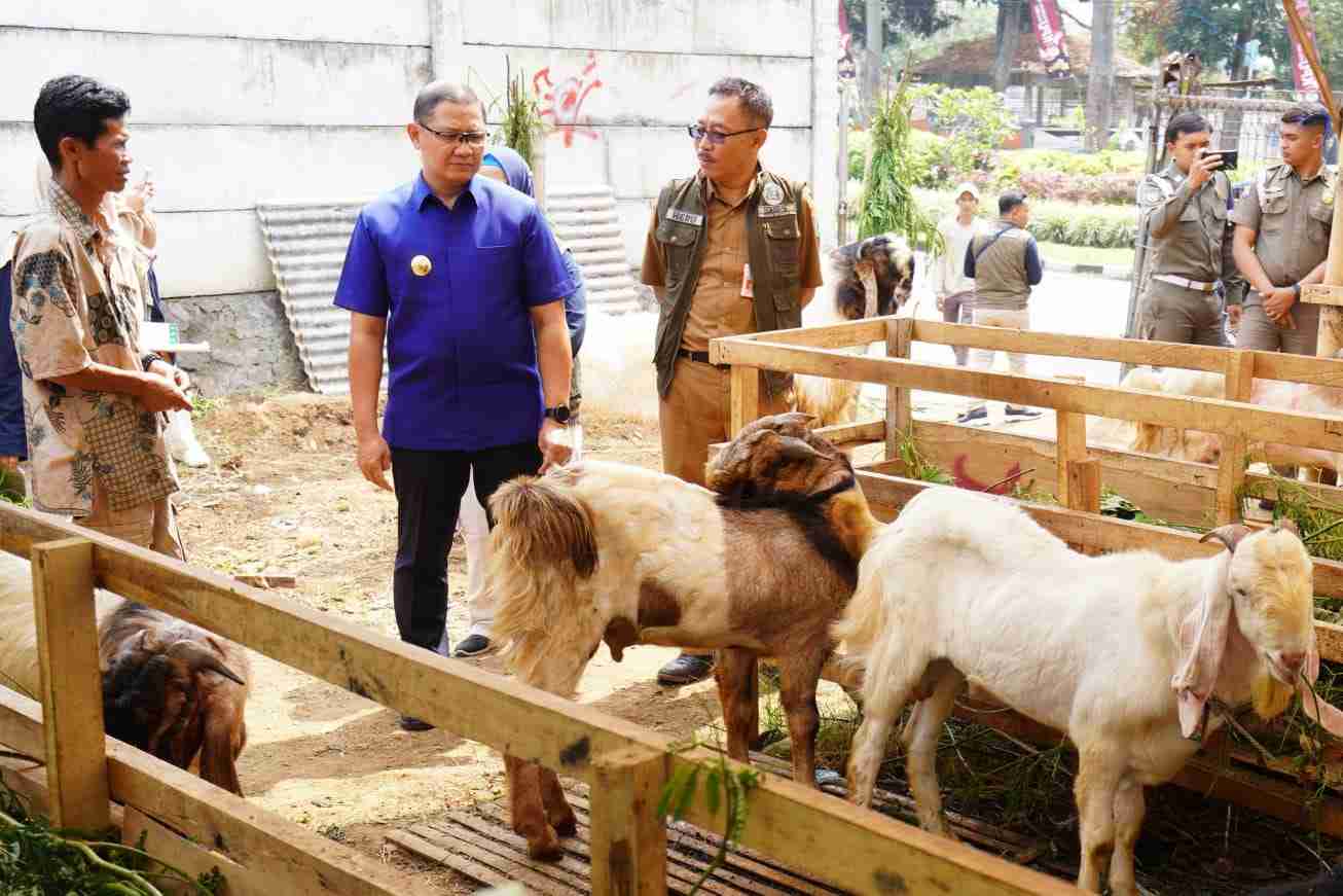 Pemerintah Kota Batu Pastikan Hewan Kurban Sehat dan Aman untuk Dikonsumsi