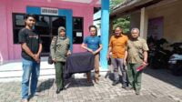 Kedapatan Bawa Hewan Liar Dilindungi, Pria di Jember Diamankan Polisi