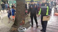 Tak Konsentrasi Saat Berkendara, Pria di Kedungkandang Tewas Menabrak Pohon