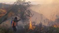 Petugas Lakukan Mop Up Untuk Padamkan Api di Bromo