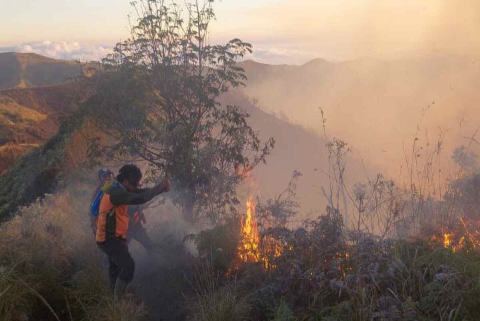 Petugas Lakukan Mop Up Untuk Padamkan Api di Bromo