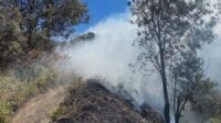 Proses pemadaman api wisata gunung semeru. (ist) - Kawasan Wisata TNBTS Kembali Dilalap Si Jago Merah
