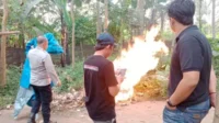 Polres Malang Terus Berantas dan Cegah Praktik Judi Termasuk Sabung Ayam