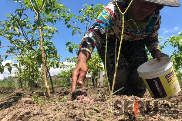 Berkat RDKK, Pupuk Subsidi di Kabupaten Malang Sesuai Kebutuhan