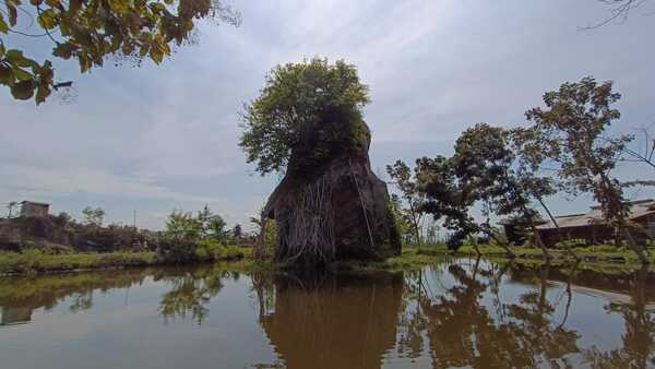 Unik, Wisata Gumuk Pecah Jember Mirip Arena Pertarungan di Game Mobile Legends