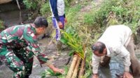 Babinsa Lowokwaru Bantu Pengairan Sawah Poktan Wulung Kencono II Tunggulwulung