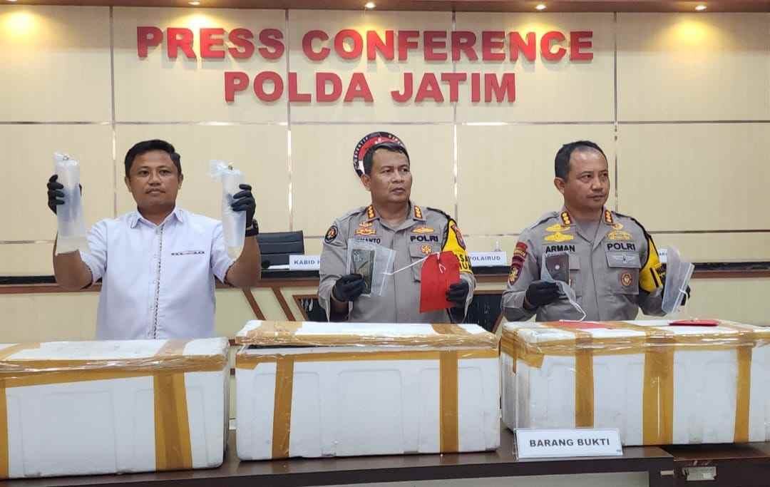Ditpolairud Bongkar Jual Beli Benih Lobster Illegal di Situbondo-Banyuwangi