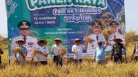 Acara panen raya dilakukan di lahan kelompok tani Desa Demung, Kecamatan Besuki, Kabupaten Situbondo, Senin (26/8/2024). (Seru.co.id/aza) - Pj Gubernur Jatim Apresiasi Bibit Padi BK Situbondo 01 dan 02 Agritan