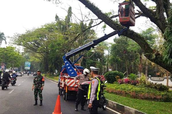 Babinsa Koramil Klojen Bantu Pengamanan Pemangkasan Dahan Pohon Jalan Veteran