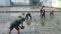 Babinsa Koramil Sukun pendampingan intensif petani Bakalankrajan. (ist) - Babinsa Koramil Sukun Pendampingan Intensif Petani Bakalankrajan