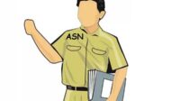 Ilustrasi ASN. (ist) - Netralitas ASN, Potensi Tertinggi Pelanggaran saat Pilkada di Jember, Ini Kata Bawaslu
