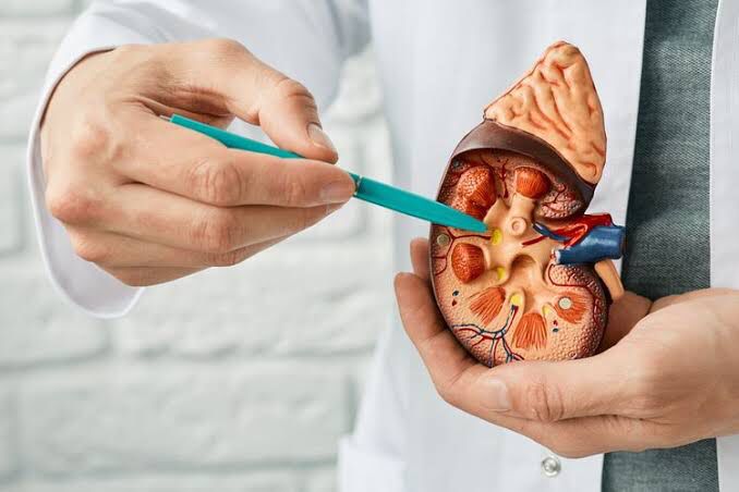 Pola Hidup Tidak Sehat, 1.283 Orang di Kabupaten Malang Alami Gagal Ginjal