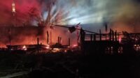 Kandang Kambing dan Sapi di Karangploso Terbakar, Pemilik Rugi Puluhan Juta Rupiah