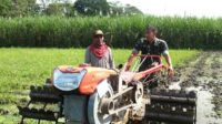 Babinsa Koramil Kedungkandang bantu petani tingkatkan hasil pertanian. (ist) - Babinsa Koramil Kedungkandang Dampingi Petani Tingkatkan Hasil Pertanian