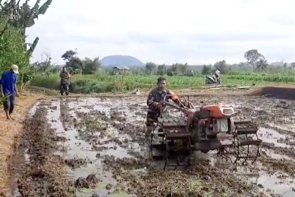 Babinsa Koramil Sukun Dampingi Petani Mulyorejo Tingkatkan Ketahanan Pangan