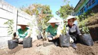 Kolaborasi TPID dan Satuan Pendidikan Tekan Laju Inflasi Dengan Tanam Cabai