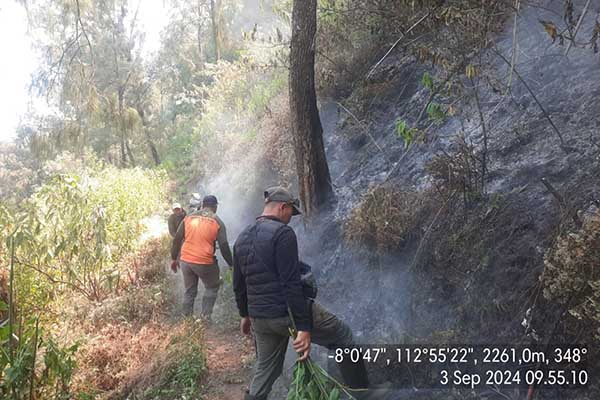 Para petugas lakukan proses pemadaman api di hutan Gunung Bromo. (ist) - Hutan Wisata Bromo Terbakar, Petugas Lakukan Mop-up Untuk Pastikan Api Padam