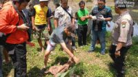 Sesosok Mayat Bayi Perempuan Ditemukan di Aliran Sungai Rolak