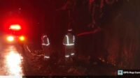 Diduga Buang Putung Rokok Sembarangan, Hutan Gunung Geger Terbakar