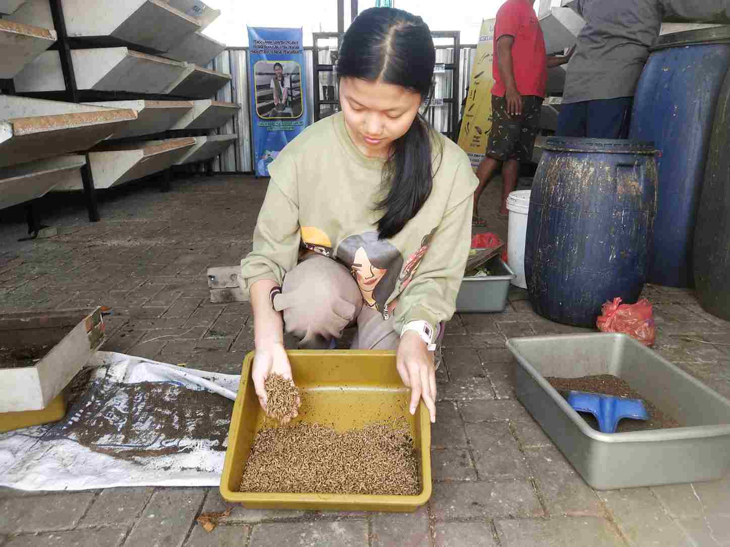 Rumah Magot Queen Mampu Mengurai Hampir 4 Ton Sampah Sebulan