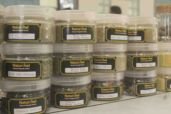 Relawan mendapatkan pelatihan intensif tentang cara membuat jamu herbal. (ist) - Universitas Ma Chung Berdayakan Relawan Paliatif Kanker dengan Aplikasi Canggih dan Herbal
