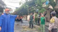 TNI dan Warga Kompak Bersihkan Pohon Tumbang di Tulusrejo