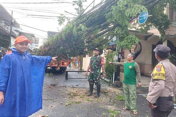 TNI dan Warga Kompak Bersihkan Pohon Tumbang di Tulusrejo