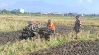 Babinsa Koramil Lowokwaru Bantu Garap Sawah Petani Tlogomas