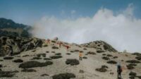 Ilustrasi gunung Pinyu masuk gunung Arjuno. (ist) - Cuaca Ekstrem, Aktivitas Pendakian Gunung Arjuno-Welirang Ditutup Sementara