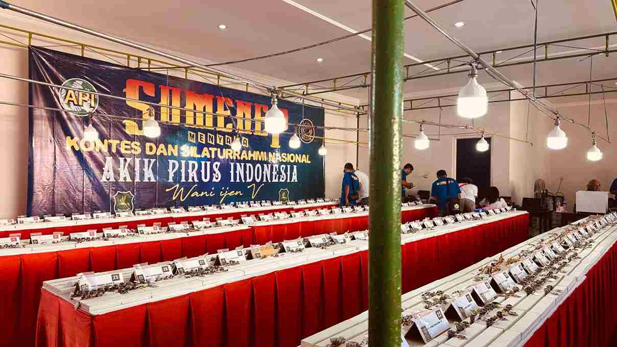 Sumenep Dipercaya Gelar Kontes Batu Akik dan Pirus Tingkat Nasional