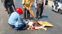 Angka Kecelakaan di Kabupaten Malang Preriode Januari-September 2024 Mengalami Penurunan