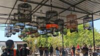 Lewat Lomba Burung Berkicau, KPU Situbondo Sosialisasi Pilkada 2024