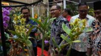 Batu Shining Orchid Week Ajang Unjuk Koleksi Pecinta anggrek
