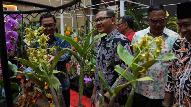 Pj Wali Kota Batu melihat koleksi anggrek dari berbagai daerah. (ist_11zon Batu Shining Orchid Week Ajang Unjuk Koleksi Pecinta anggrek