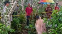 Sakit Tak Kunjung Sembuh, Kakek Kepanjen Ditemukan Meniggal di Area TPU