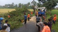 Proses evakuasi pohon tumbang di Kecamatan Kepanjen. (ist) - Cuaca Ekstrem Dua Pohon Tumbang dan Satu PJU Patah di Kepanjen