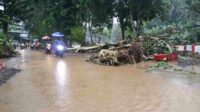 BMKG Prediksi Cuaca Ektrem Hingga Awal Bulan Desember, Warga Diimbau Waspada