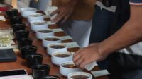 Gelar Public Cupping, UB Kenalkan Cita Rasa Kopi Khas Cagar Biosfer Jawa Timur