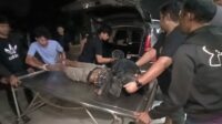 Lempar Bom Bondet Saat Akan Ditangkap, Polisi Tembak Mati Pelaku Curanmor